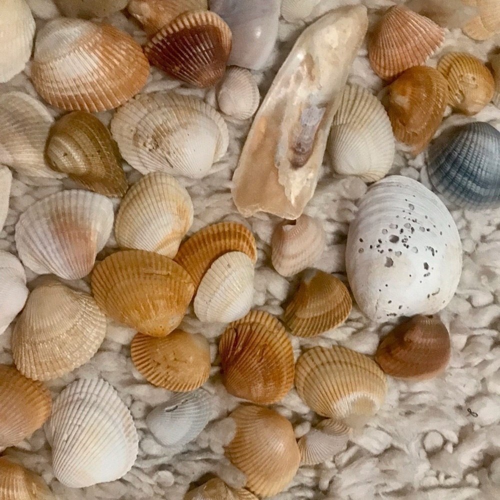 Custom shell bundle — PLEASE READ - Picture 4 of 13